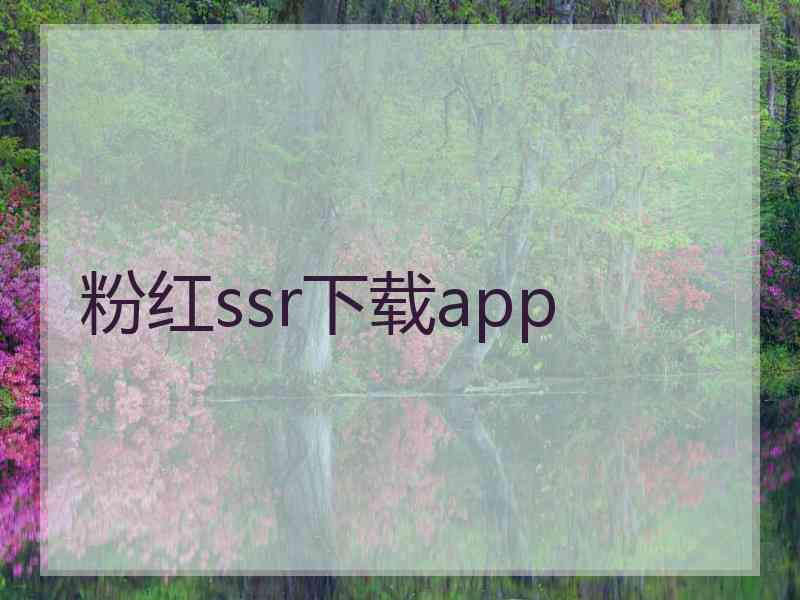 粉红ssr下载app
