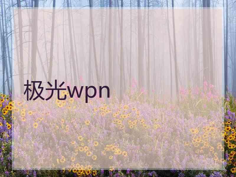 极光wpn