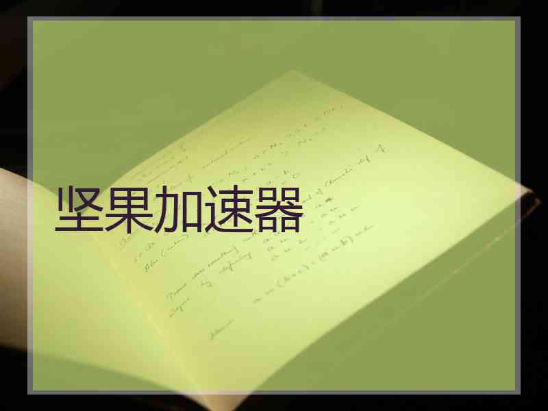 坚果加速器