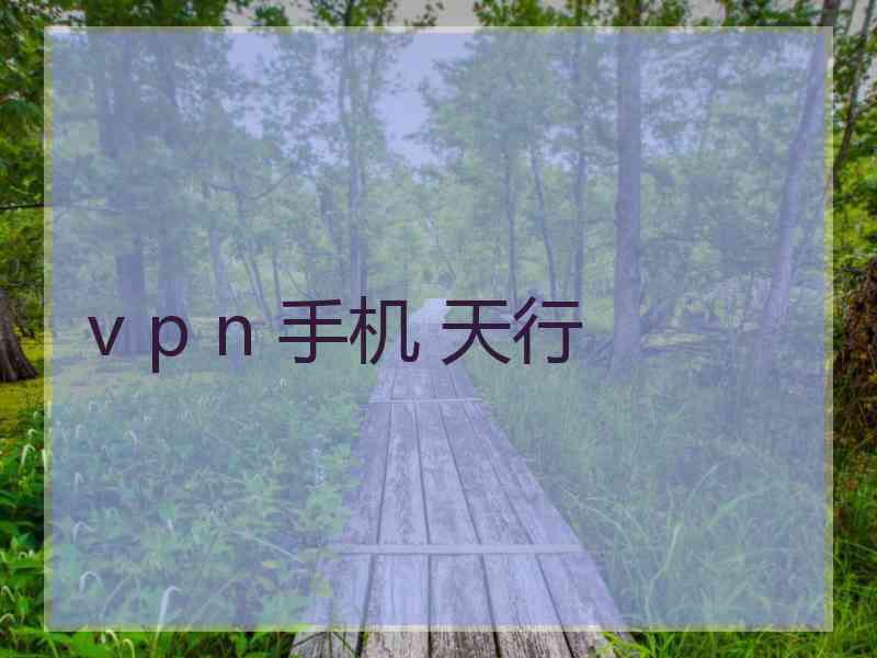 v p n 手机 天行