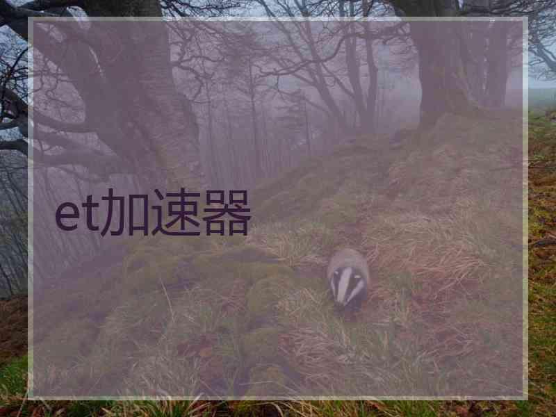 et加速器