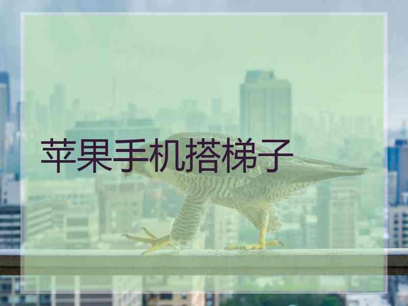 苹果手机搭梯子