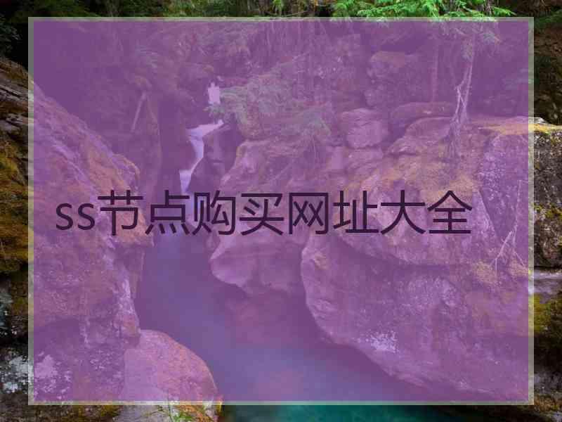 ss节点购买网址大全