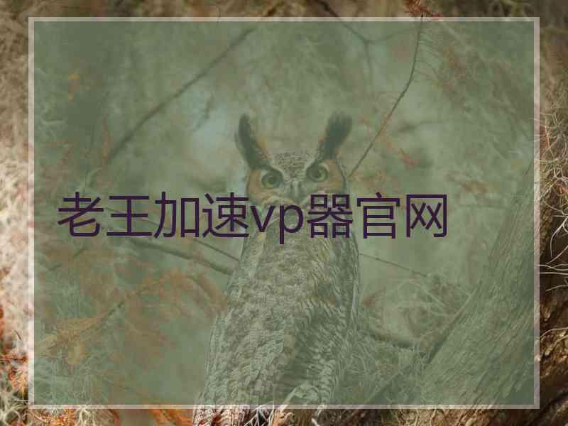 老王加速vp器官网