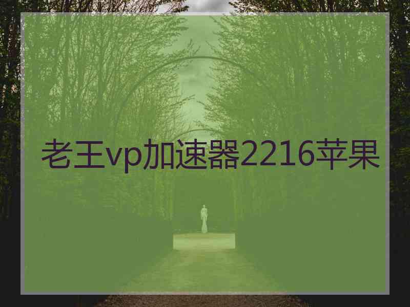 老王vp加速器2216苹果
