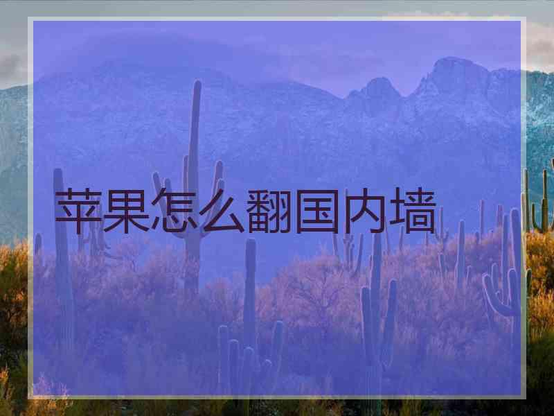 苹果怎么翻国内墙