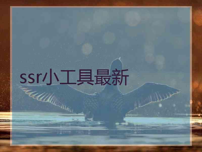 ssr小工具最新