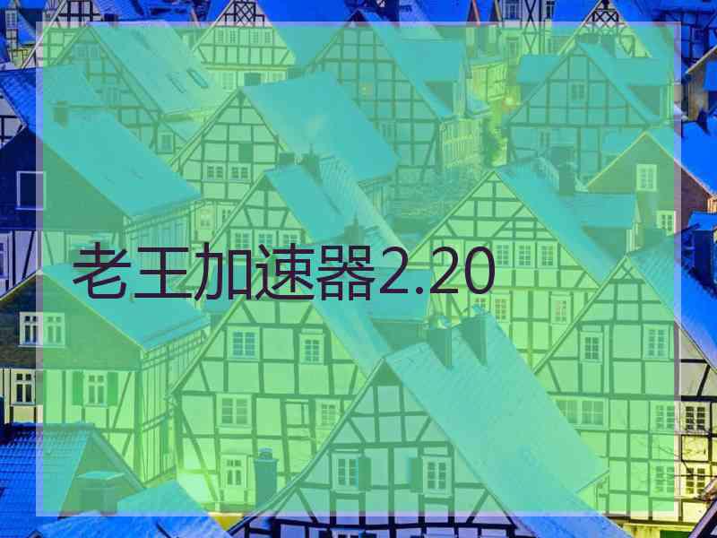 老王加速器2.20