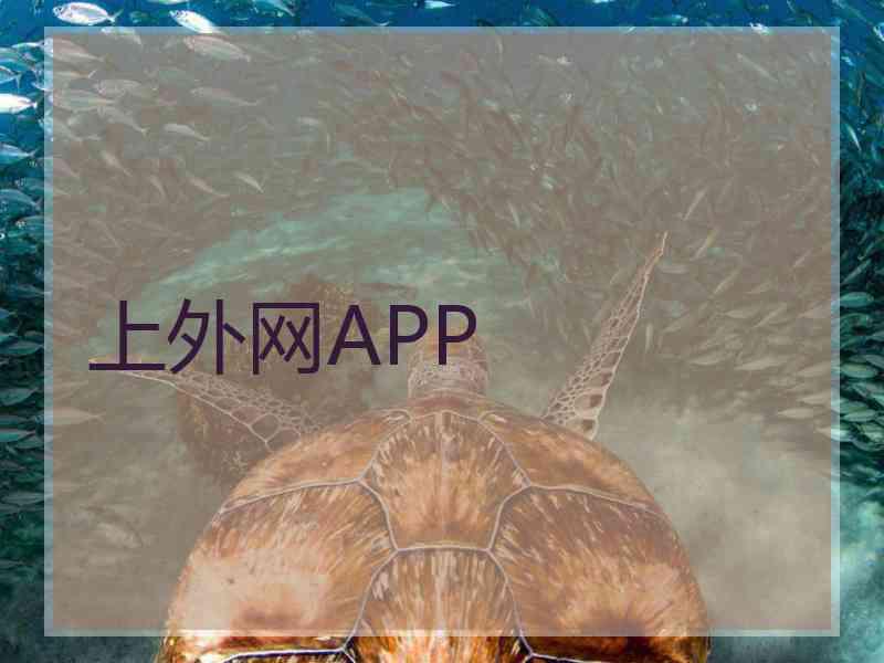 上外网APP