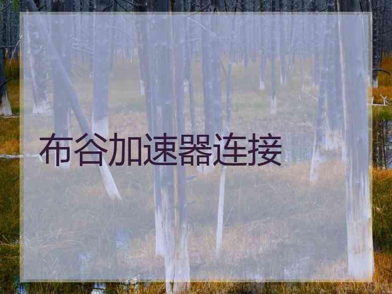 布谷加速器连接