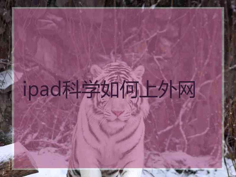 ipad科学如何上外网