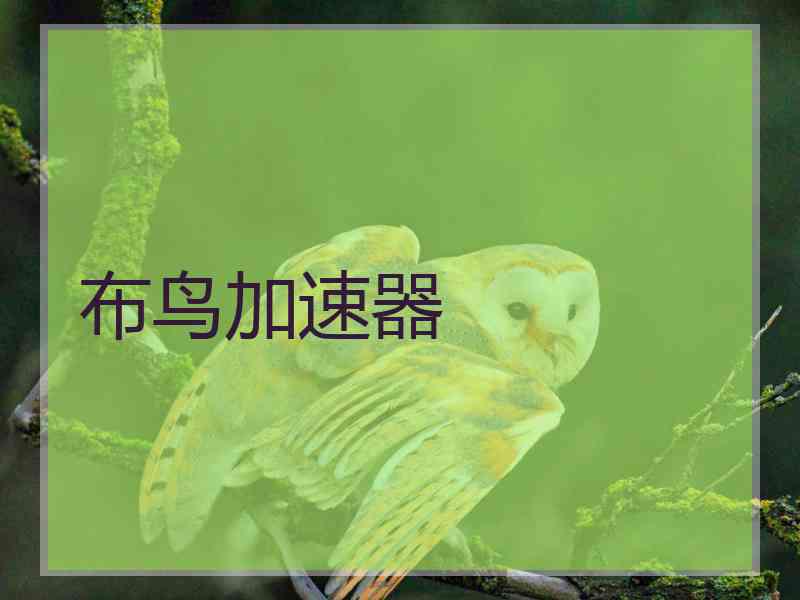 布鸟加速器