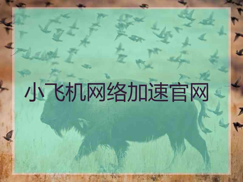 小飞机网络加速官网