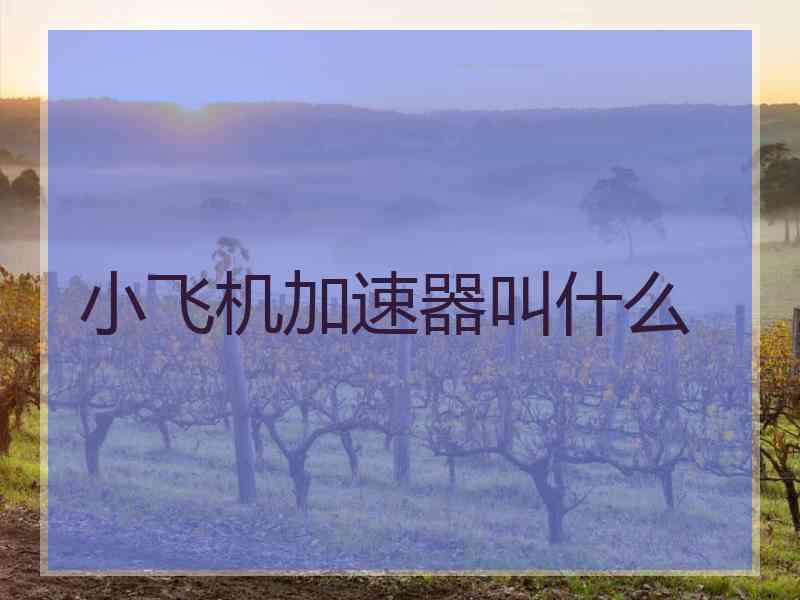 小飞机加速器叫什么