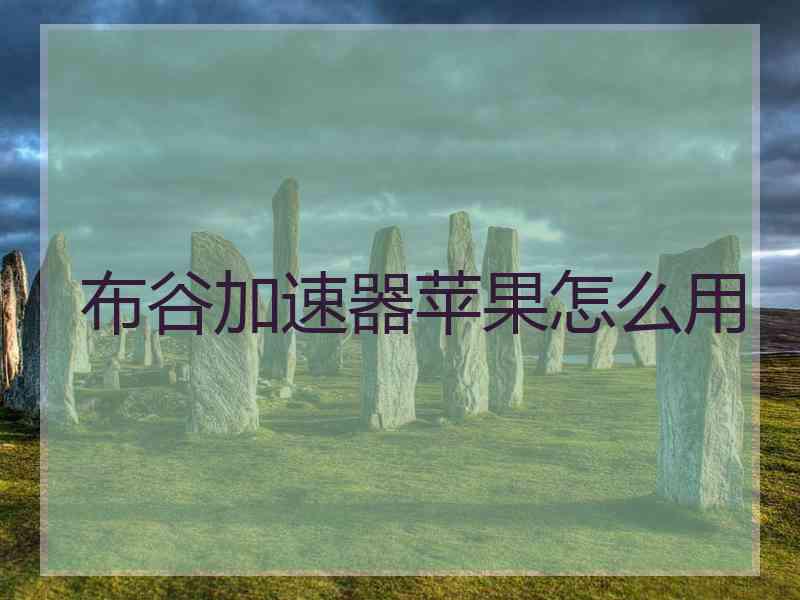 布谷加速器苹果怎么用