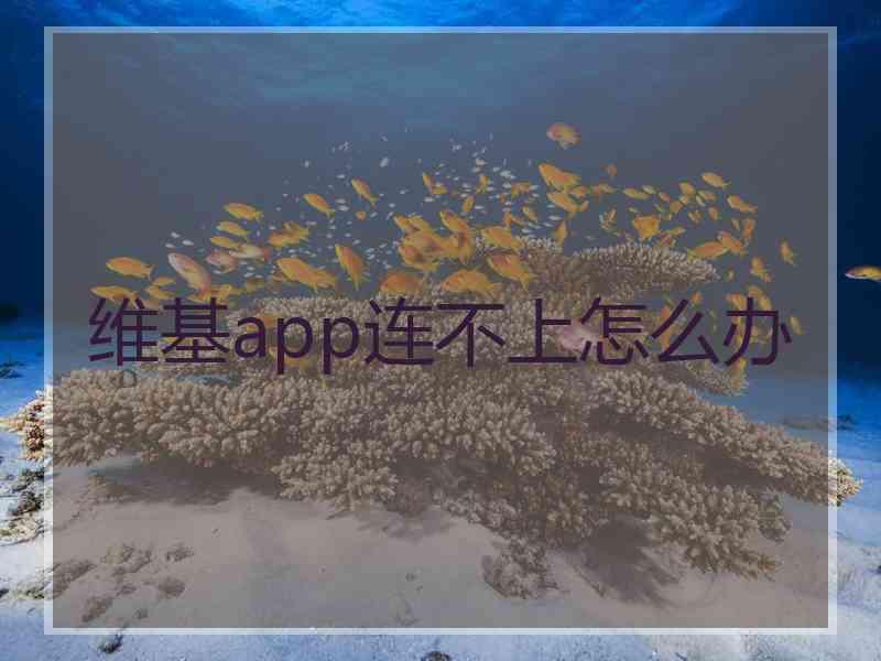 维基app连不上怎么办