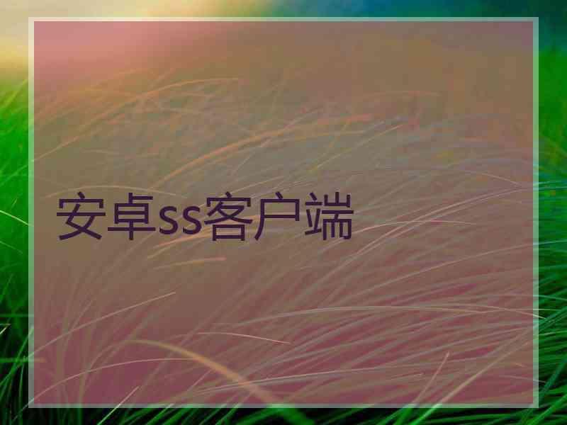 安卓ss客户端