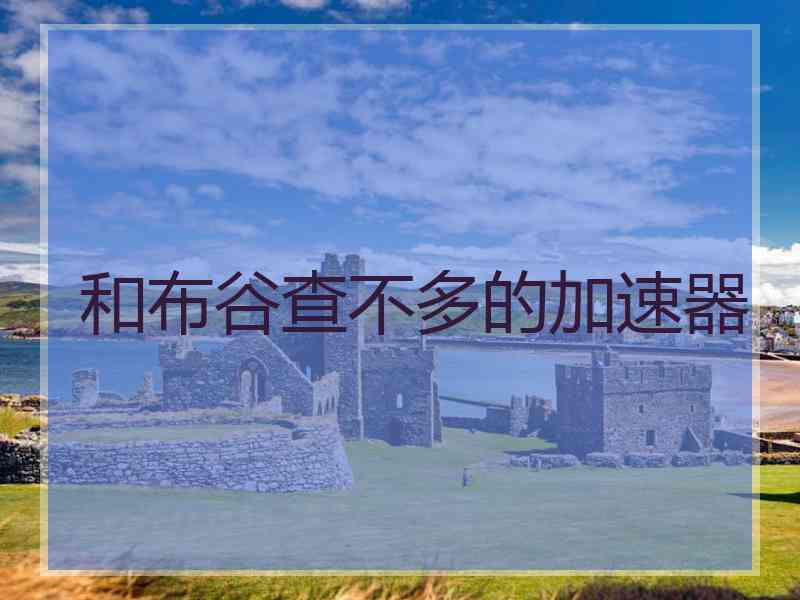 和布谷查不多的加速器