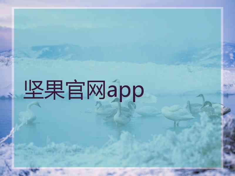 坚果官网app