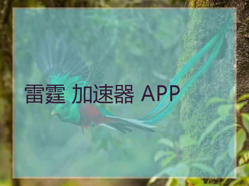 雷霆 加速器 APP