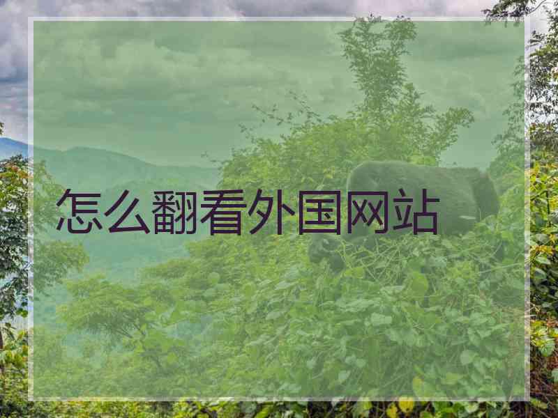 怎么翻看外国网站