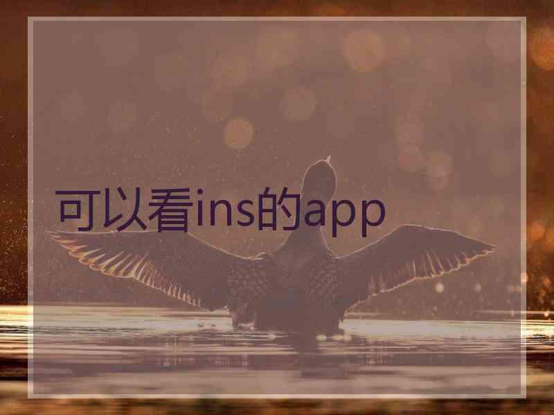 可以看ins的app