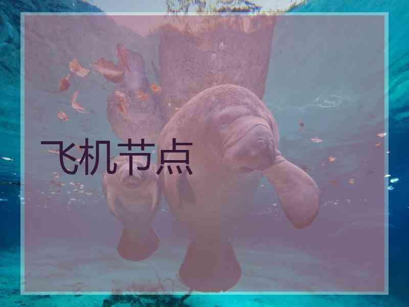 飞机节点