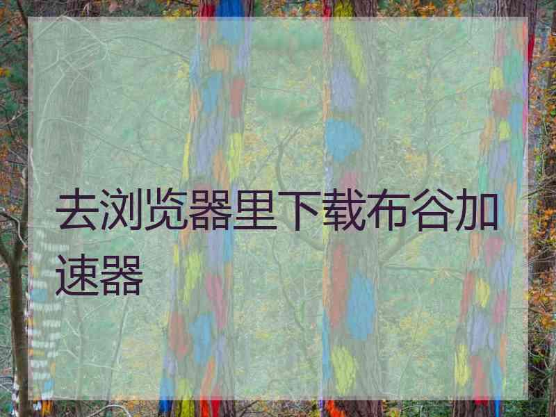 去浏览器里下载布谷加速器