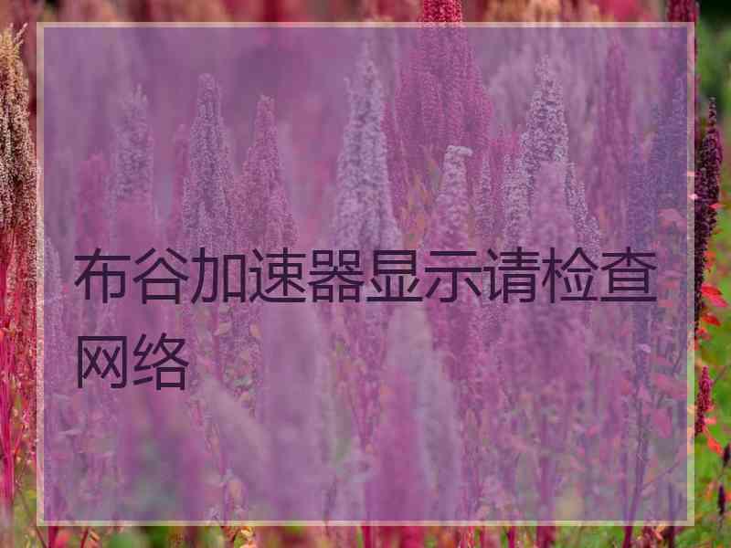 布谷加速器显示请检查网络
