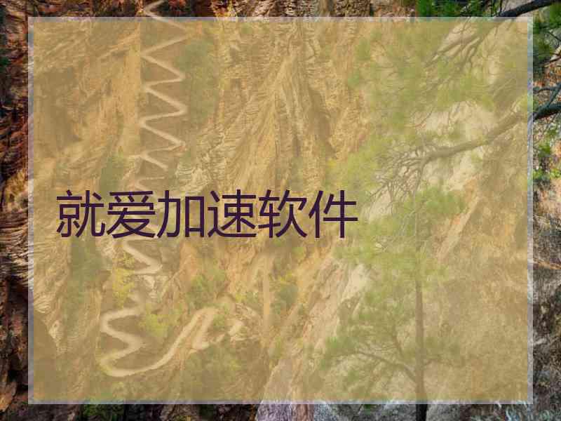 就爱加速软件