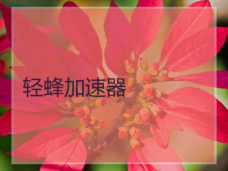 轻蜂加速器