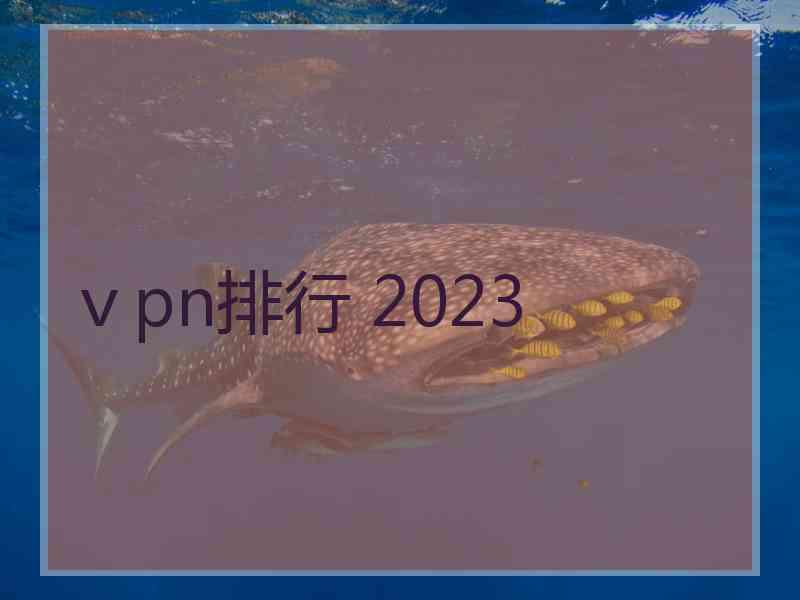 ⅴpn排行 2023