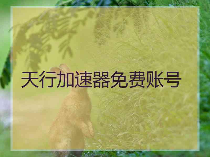 天行加速器免费账号