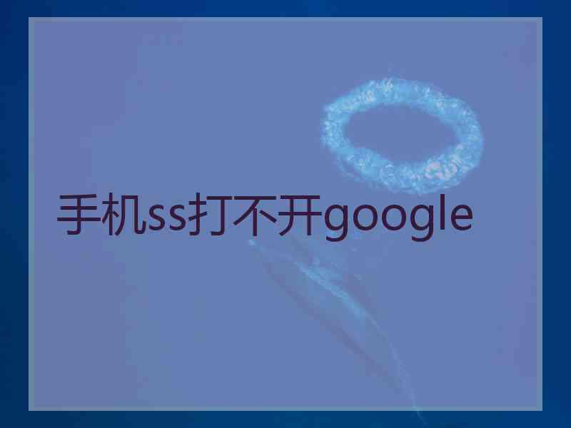 手机ss打不开google