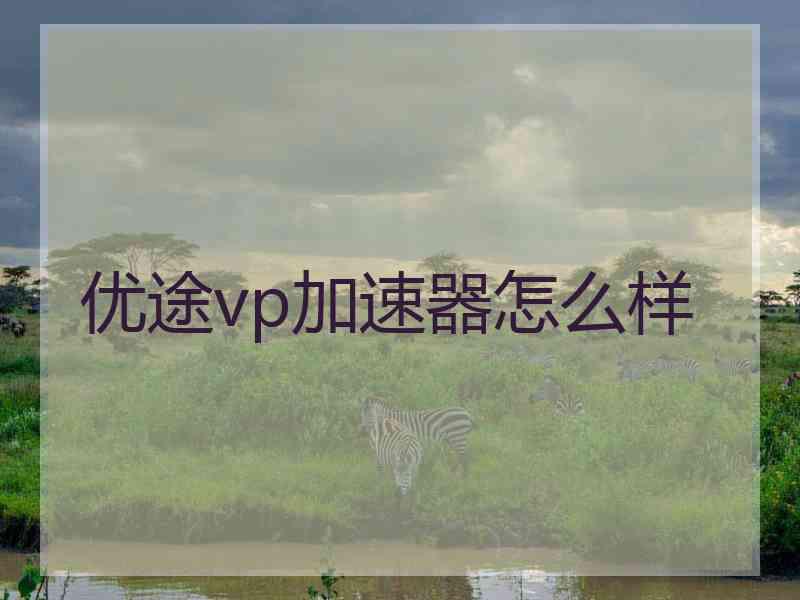 优途vp加速器怎么样