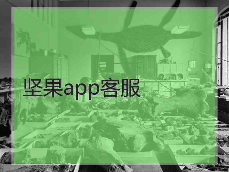 坚果app客服