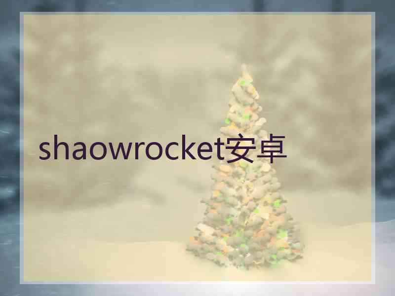 shaowrocket安卓