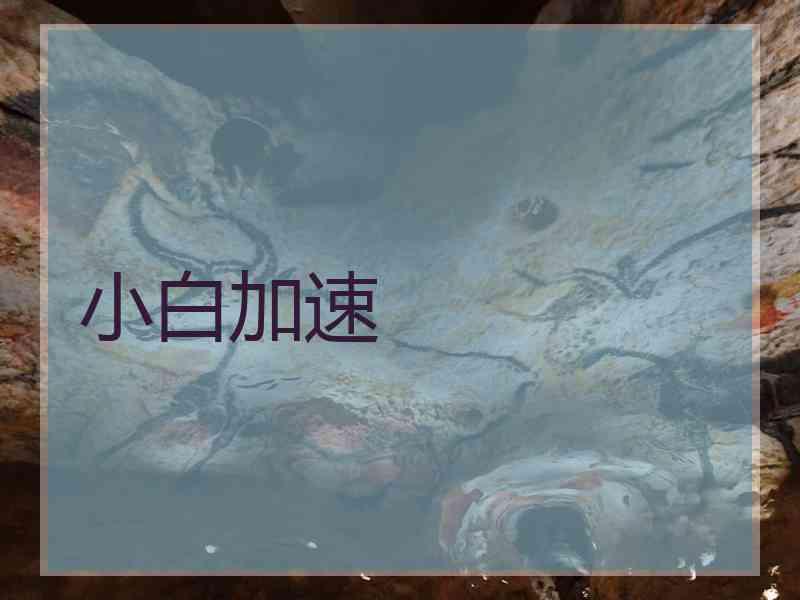 小白加速