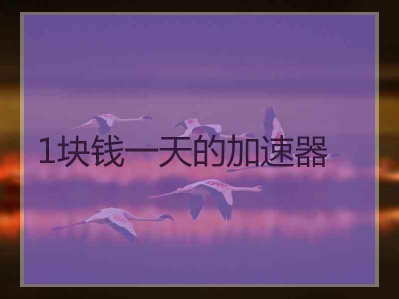1块钱一天的加速器