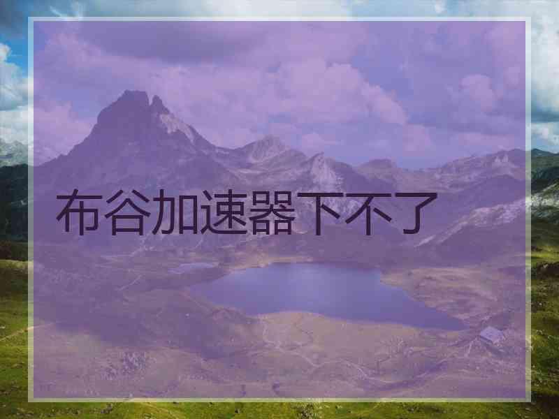 布谷加速器下不了