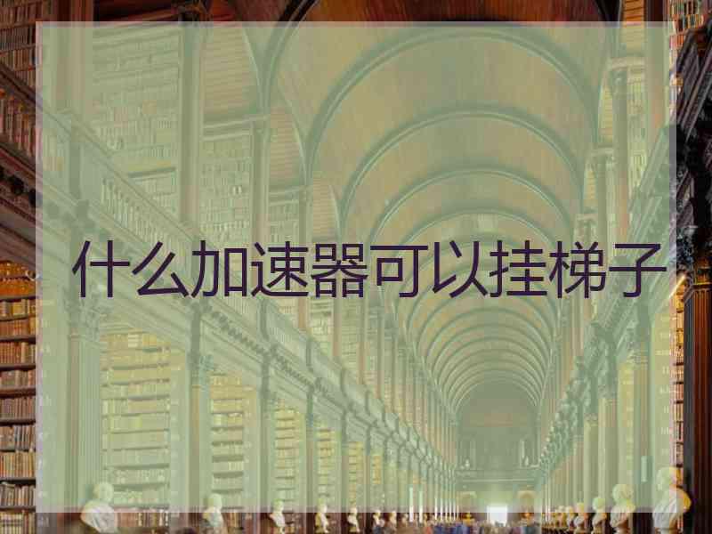 什么加速器可以挂梯子