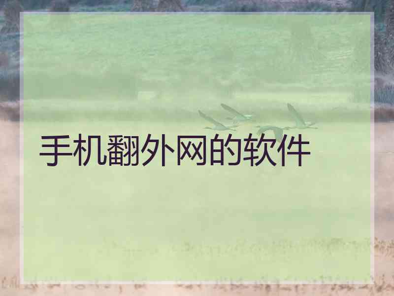 手机翻外网的软件