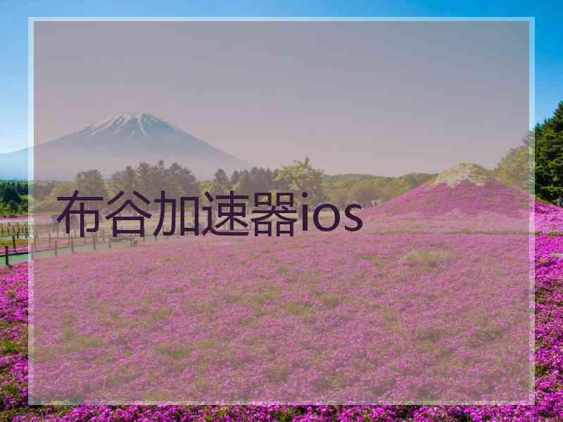 布谷加速器ios