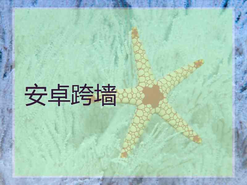 安卓跨墙