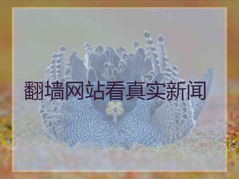 翻墙网站看真实新闻