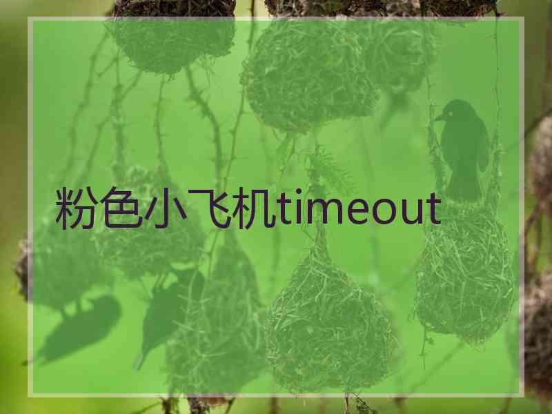 粉色小飞机timeout