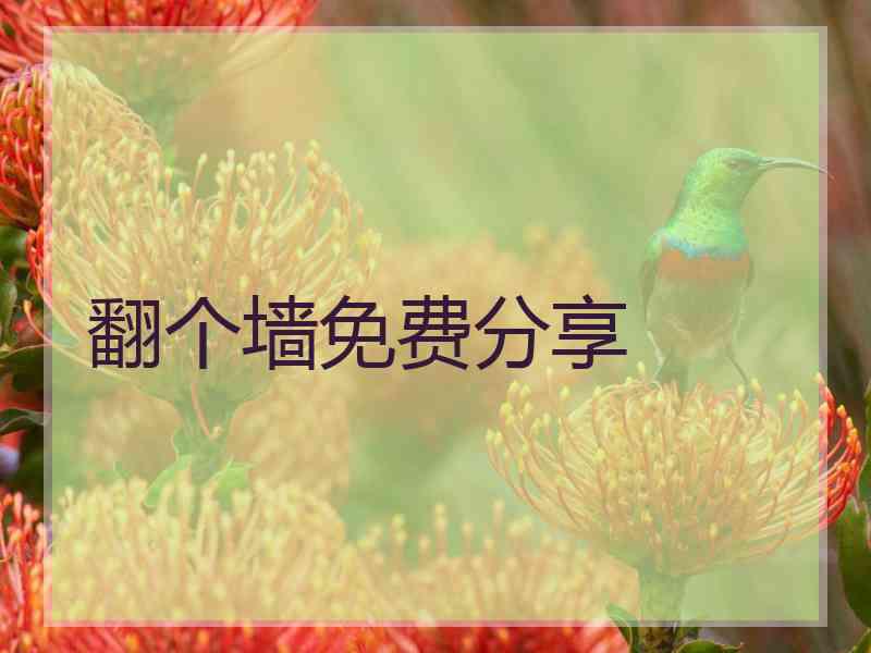 翻个墙免费分享