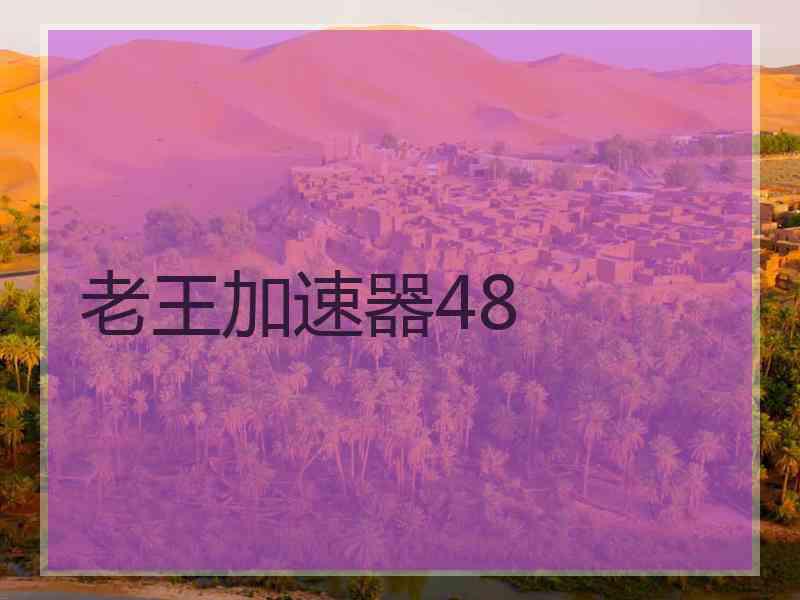老王加速器48