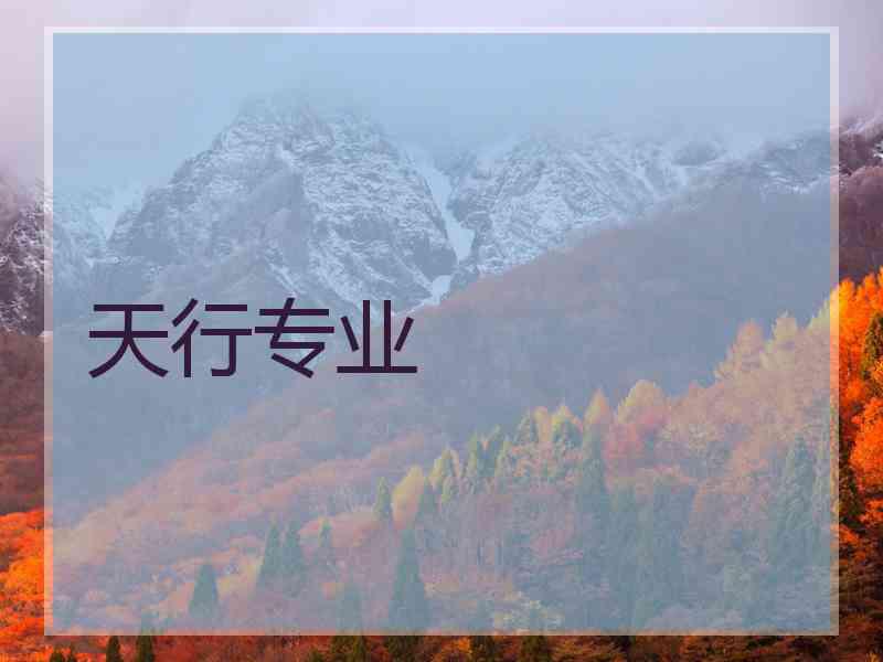 天行专业