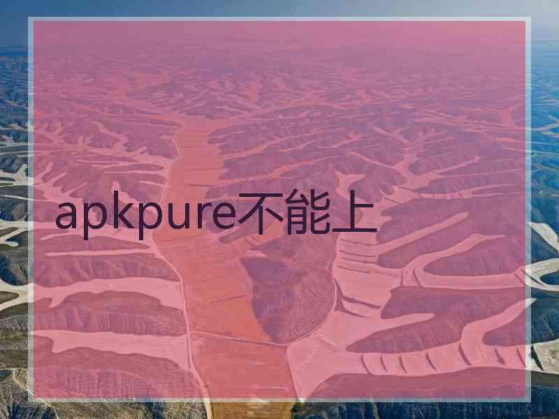 apkpure不能上